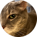 Teri Pritchett Avatar