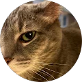 Teri Pritchett Avatar