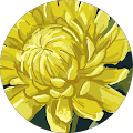Sophia John Avatar