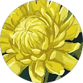 Sophia John Avatar