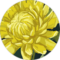 Sophia John Avatar