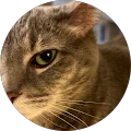 Teri Pritchett Avatar