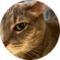 Teri Pritchett Avatar